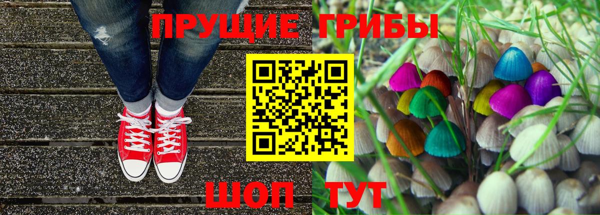 Алексеевка  Псилоцибиновые грибы Cubensis  Вход с VPN 